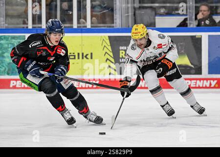 Kampf um den Puck / Zweikampf zwischen Joshua Samanski (Straubing Tigers, #8) und Linus Froeberg (Loewen Frankfurt, #71). GER, Straubing Tigers vs. Loewen Frankfurt, Eishockey, DEL, 38. Spieltag, Saison 2024/2025, 19.01.2025. Foto: Eibner-Pressefoto/Heike Feiner. Stockfoto