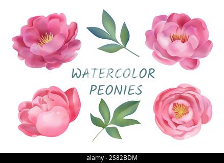Aquarellblumen. Geblümtes Pfingstrosenblatt, isolierte Aquarellblüten, handgemalte rosa Pfingstrosen. Dekorative, elegante Pflanze, Dekoration für Hochzeiten, Frühling, Sommer Stock Vektor