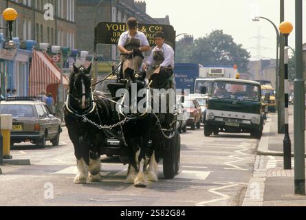 Youngs Brewery Horse Wandsworth South London. Traditionelle Lieferung von Bier an die örtlichen Pubs mit Pferd und Wagen - Karthorsen. England um die 1985 1980er Jahre Großbritannien. Carthorse HOMER SYKES Stockfoto