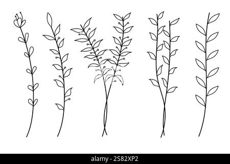 On White Collection von handgezeichneten Illustrationen von Pflanzenlinien mit verschiedenen botanischen Elementen. Stock Vektor