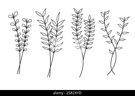 On White Collection von handgezeichneten Illustrationen von Pflanzenlinien mit verschiedenen botanischen Elementen. Stock Vektor