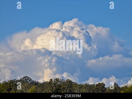Hohe und tiefe Wolken bilden sich zu einer Sturmfront, mit Baumspitzen in der Mitte. Stockfoto