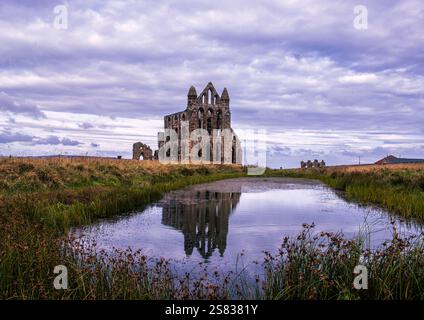 Reflexionen der gotischen, historischen und wunderschön ruinierten Whitby Abbey. Im Spiegel wie ein Teich. Die Wolken sammeln sich über Türmen Stockfoto