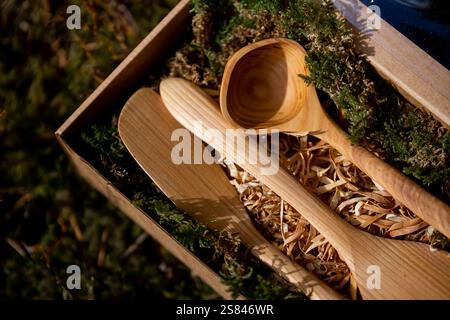 Eine Holzkiste hält Löffel, Spachtel und Kelle auf Holzspänen, umgeben von Moos und Gras, die natürliche Materialien und Handwerkskunst betonen. Stockfoto