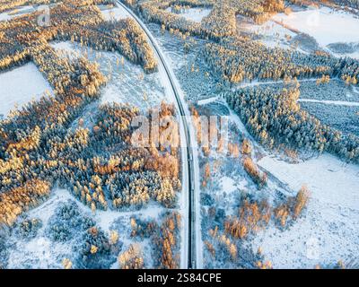 Die schneebedeckte Straße führt direkt durch einen Wald von immergrünen und Laubbäumen, mit goldenen Tönen, die das Sonnenlicht während des Sonnenaufgangs oder Sonnenuntergangs reflektieren. Stockfoto