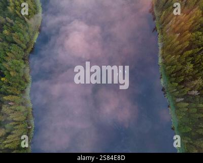 Ein Blick aus der Vogelperspektive auf einen ruhigen Fluss, der von dichten Wäldern umgeben ist, mit sanften Rosa-Tönen auf dem Wasser und drei weißen Vögeln im Zentrum der Szene. Stockfoto