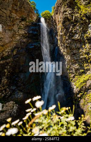 Ein Wasserfall stürzt zerklüftete Klippen mit grüner Vegetation, eingerahmt von weißen Wildblumen. Sonnenlicht hebt die Felsen unter einem hellblauen Himmel hervor. Stockfoto