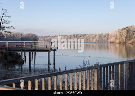 Ein ruhiger Wintermorgen in Straussee mit Holzsteg, ruhigem, reflektierendem Wasser und frostbedeckten Bäumen unter klarem blauem Himmel. Stockfoto