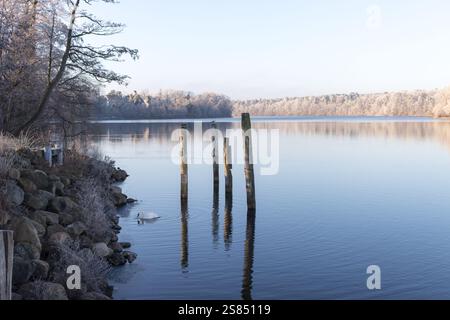 Eine beschauliche Winterszene in Straussee mit Holzpfosten, die aus dem ruhigen Wasser ragen, mit frostbedeckten Bäumen und Felsen am Ufer. Stockfoto