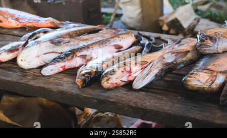 Verschiedene frisch gefangene Fische auf einem rustikalen Holztisch, bereit für die Zubereitung oder den Verkauf im Freien Stockfoto