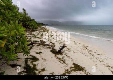 Grand Anse auf Praslin mit dunkler Wolke, Seychellen Stockfoto