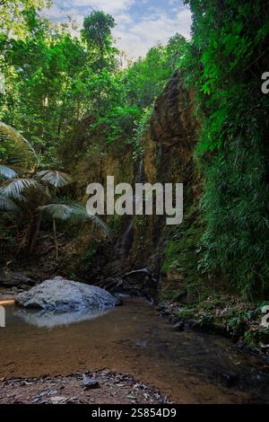 Khlong Chak Wasserfall und kleiner Teich während der Trockenzeit in Koh Lanta, Thailand, an einem sonnigen Tag. Tropische Landschaft mit üppigem Laub. Stockfoto