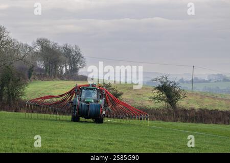 Timoleague, West Cork, Irland. Januar 2025. Der Milchbauer David Deasy Farms am Stadtrand von Timoleague, West Cork, und seine Herde hat begonnen zu kalben. Vincent Murphy aus Timoleague verteilt Gülle mit dem Nabelschlamm-Verbreitungssystem. Quelle: AG News/Alamy Live News Stockfoto