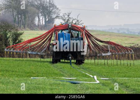 Timoleague, West Cork, Irland. Januar 2025. Der Milchbauer David Deasy Farms am Stadtrand von Timoleague, West Cork, und seine Herde hat begonnen zu kalben. Vincent Murphy aus Timoleague verteilt Gülle mit dem Nabelschlamm-Verbreitungssystem. Quelle: AG News/Alamy Live News Stockfoto