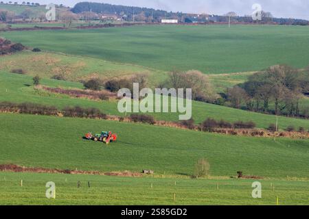 Timoleague, West Cork, Irland. Januar 2025. Der Milchbauer David Deasy Farms am Stadtrand von Timoleague, West Cork, und seine Herde hat begonnen zu kalben. Vincent Murphy aus Timoleague verteilt Gülle mit dem Nabelschlamm-Verbreitungssystem. Quelle: AG News/Alamy Live News Stockfoto