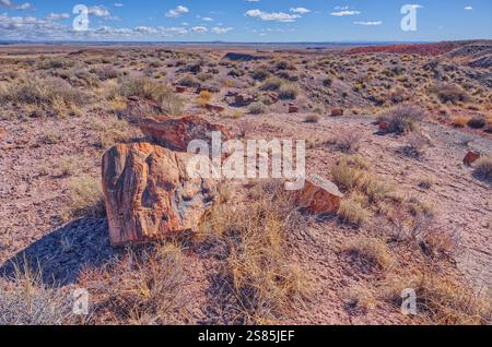 Versteinerte Holzstücke auf Hügeln mit Blick auf Dead Wash, Petrified Forest National Park, Arizona, USA Stockfoto