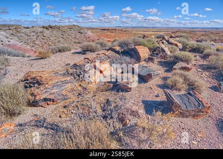Versteinerte Holzstücke auf Hügeln mit Blick auf Dead Wash, Petrified Forest National Park, Arizona, USA Stockfoto