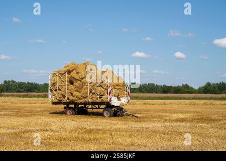 Heuwagen auf einem Getreidefeld Stockfoto