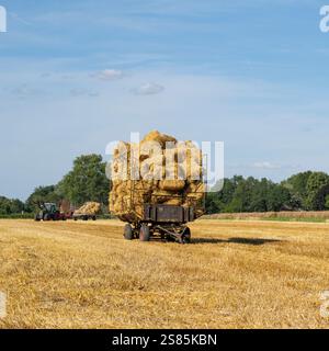Heuwagen auf einem Getreidefeld Stockfoto