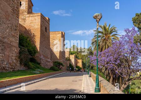 Alcazaba, Malaga, Andalusien, Spanien Stockfoto