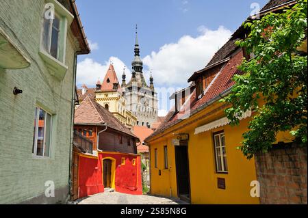 Uhrenturm vom Südweg in die Altstadt, Sighisoara, UNESCO, Siebenbürgen, Rumänien Stockfoto