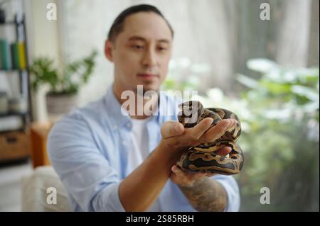 Ein Mann hält Python in der Wohnzimmerumgebung Stockfoto