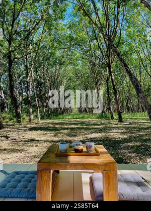 Friedliche Teezeit in einem großen grünen Wald Eine friedliche und ruhige Szene mit einem kleinen Holztisch mit einem Tablett und japanischen Teetassen im Vorgarten Stockfoto