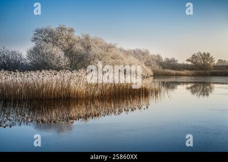 Eine friedliche Winterlandschaft mit einem gefrorenen See, umgeben von weißen, frostigen Bäumen, die den klaren Himmel reflektieren. Stockfoto