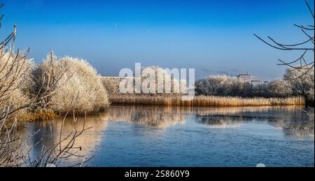Eine friedliche Winterlandschaft mit einem gefrorenen See, umgeben von weißen, frostigen Bäumen, die den klaren Himmel reflektieren. Stockfoto