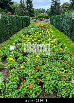 Blumen im botanischen Garten Stockfoto