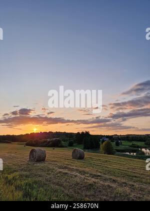 Ländliche Sonnenuntergangsszene im Landkreis mit Heuballen, die über ein grünes Feld, Wald und See im Hintergrund verstreut sind Stockfoto
