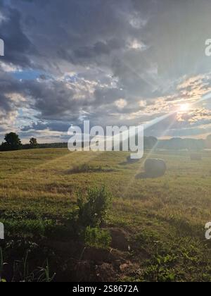 Ländliche Landschaft mit Heuballen, die über ein sonnendurchflutetes Feld verstreut sind, wirft die Sonne dramatische Strahlen durch die Wolken in das üppige Grün und die ruhige Atmosphäre Stockfoto