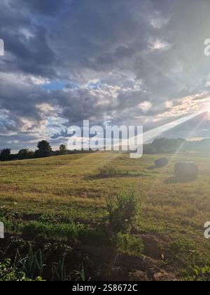 Ländliche Landschaft mit Heuballen, die über ein sonnendurchflutetes Feld verstreut sind, wirft die Sonne dramatische Strahlen durch die Wolken in das üppige Grün und die ruhige Atmosphäre Stockfoto