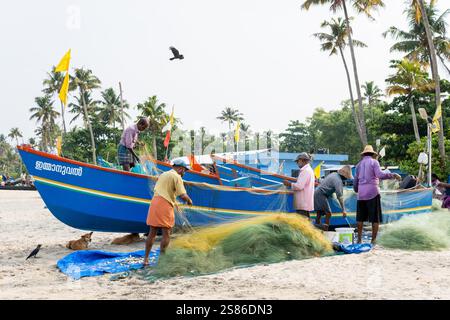 KERALA, INDIEN - 18. APRIL 2024: Indische Fischer ziehen Fischernetze in der Nähe der traditionellen Holzboote am Marari-Strand. Stockfoto