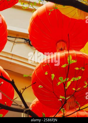 Hongkong, China - 21. Januar 2025 : leuchtende rote Laternen zieren die Lee Tung Avenue und feiern das chinesische Neujahr. Ihre glänzenden Oberflächen spiegeln das fest wider Stockfoto