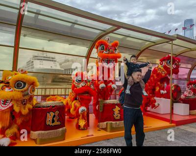 Hongkong, China - 21. Januar 2025 : Ein lebhaftes chinesisches Neujahrsfest in der Hafenstadt. Löwentänzer treten auf, umgeben von Trommeln und Stockfoto