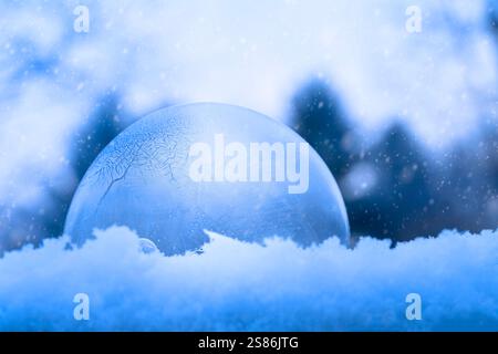 Frozen Bubble mit Fellfellen des Schneefalls Stockfoto