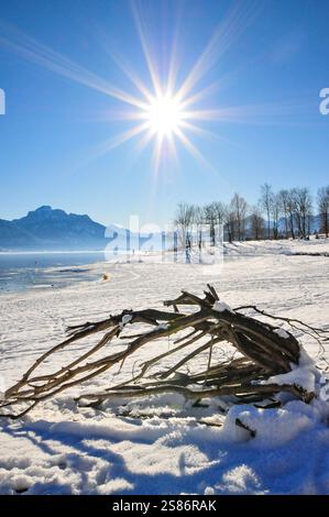 Winteridylle am Forggensee im Allgäu, im Hintergrund der Säuling (2047 m) bei Füssen, Bayern, Deutschland, Europa Stockfoto