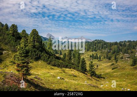 Europäische Alpen in der Steiermark, Österreich. Landschaft mit Weide und majestätischen Dachsteinbergen im Hintergrund. Sommerreiseziel für Wanderungen Stockfoto