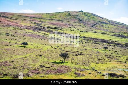 Brat Tor ist ein dramatischer Granittor im westlichen Dartmoor. Es ist bekannt für das Widgery Cross, das auf seinem Gipfel steht. Dartmoor-Nationalpark, Devon, Großbritannien. Stockfoto