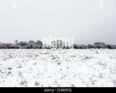 Schneebedecktes Feld im Monks Cross Area von Huntington in York. UK Stockfoto