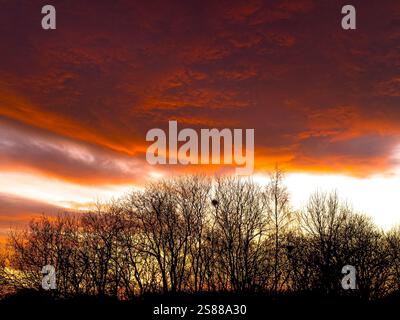 Dramatischer orangefarbener Himmel. Wintersonnenuntergang. UK Stockfoto