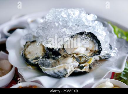 Frische Austern auf der Halbschale auf Eis mit Limettenscheiben und anderen Beilagen, scharfe Thai-Stil, Meeresfrüchte aus dem Meer, lokale Gerichte Stockfoto