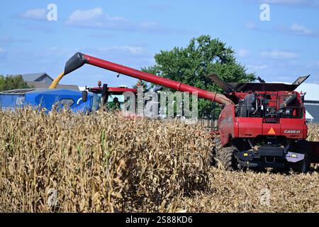 Steward, Illinois, USA. Kombinieren Sie die Ernte von einem Maisfeld in einen Lkw während der Erntezeit im Norden von Zentral-Illinois. Stockfoto