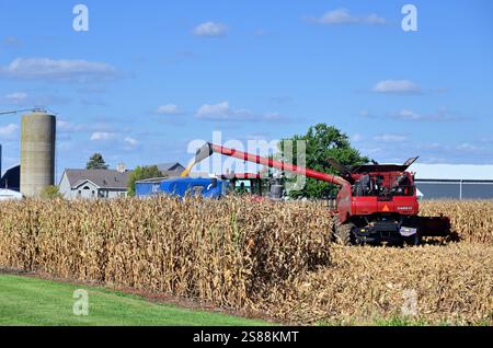 Steward, Illinois, USA. Kombinieren Sie die Ernte von einem Maisfeld in einen Lkw während der Erntezeit im Norden von Zentral-Illinois. Stockfoto