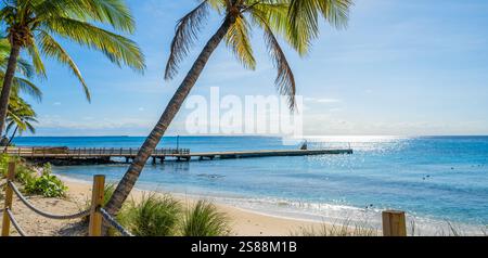 Tropischer Strand mit Palmen und Pier. Großtürken, Türken und Caicos. Stockfoto