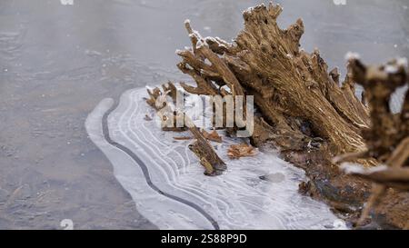 Ein toter Ast in einem gefrorenen See. Stockfoto