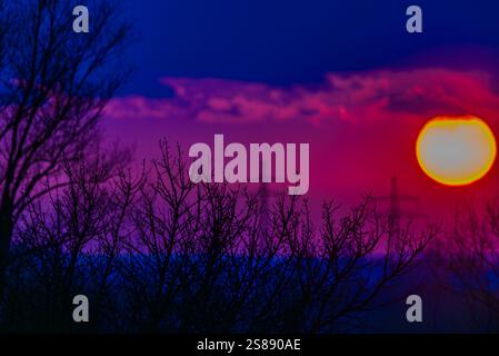 Die Sonne untergeht hinter den Silhouetten von Bäumen während eines bunten Sonnenaufgangs Stockfoto
