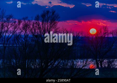 Die Sonne untergeht hinter den Silhouetten von Bäumen während eines bunten Sonnenaufgangs Stockfoto