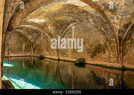 Ein Wasserpool in Fontebranda, Sienas berühmtestem mittelalterlichen Brunnen, befindet sich an der Via Fontebranda, Siena, Italien Stockfoto